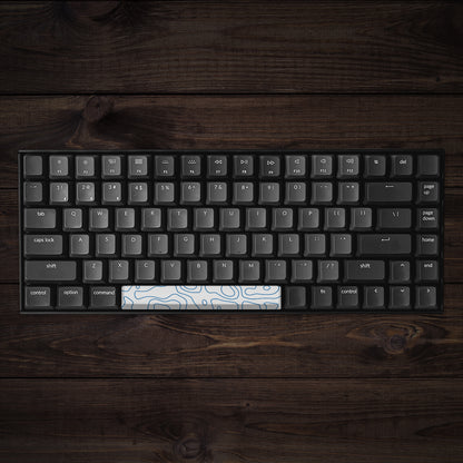 Ice Topo PBT Spacebar